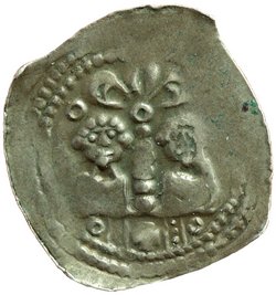 Herzöge von Kärnten / Herren von Krain: Bernhard (1202–1256)