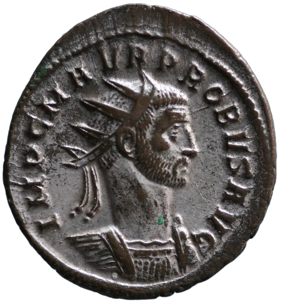 Probus