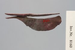 Kleine Schere
