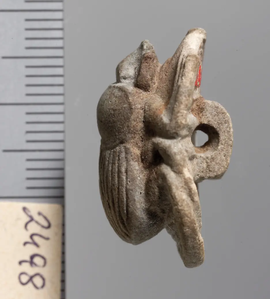 Mumienskarabäus