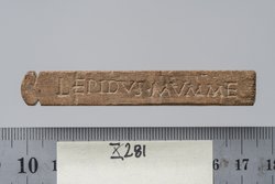 Tessera nummularia