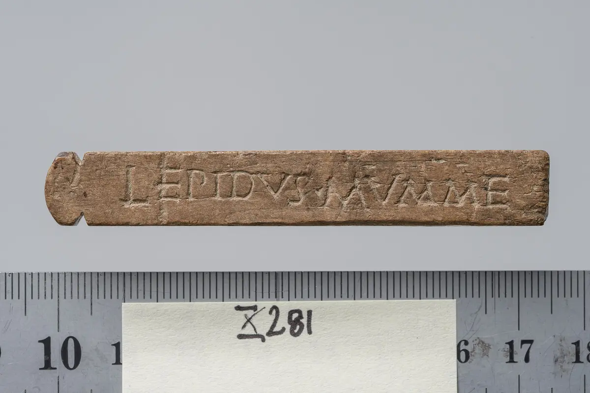 Tessera nummularia