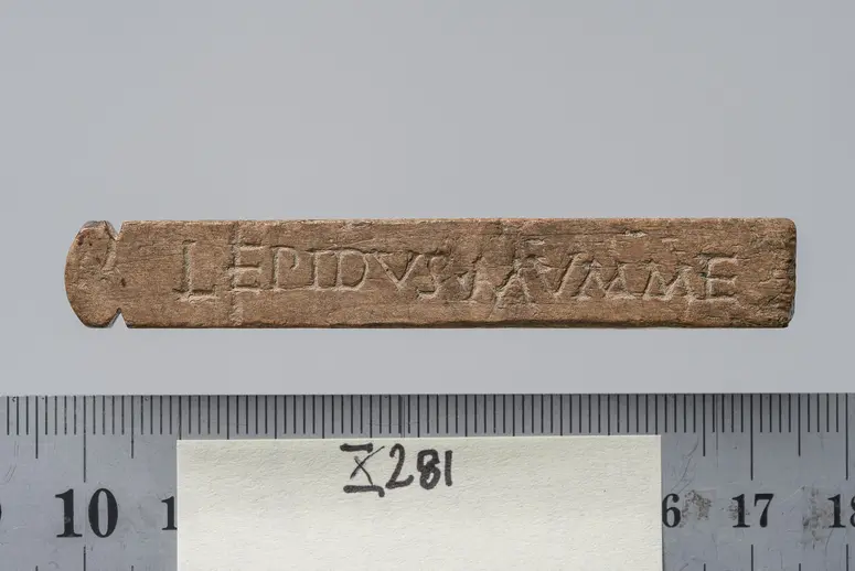 Tessera nummularia