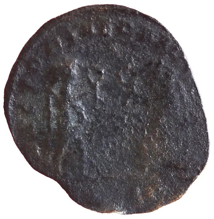 Constans