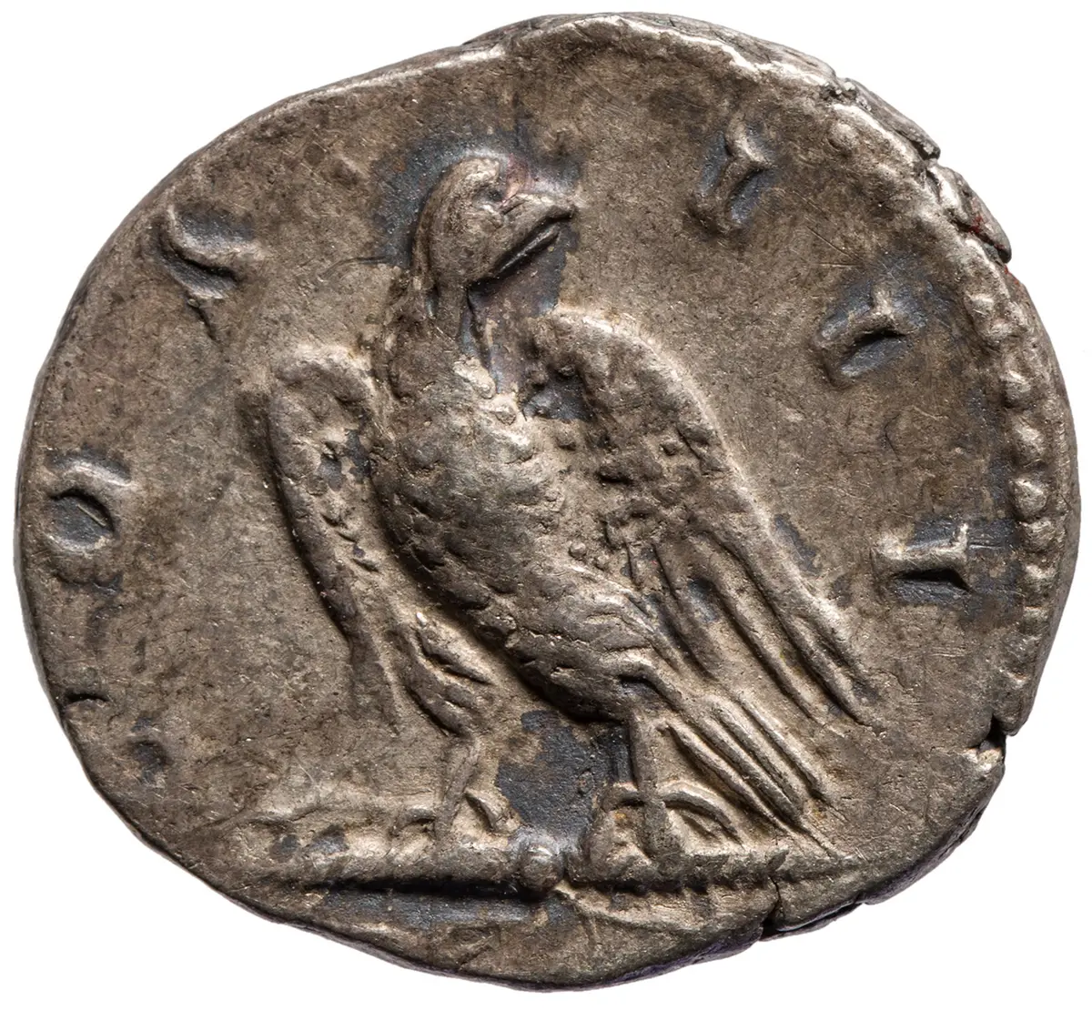 Hadrianus
