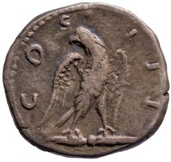 Hadrianus
