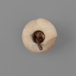 Kohl-Töpfchen mit Schminkstift