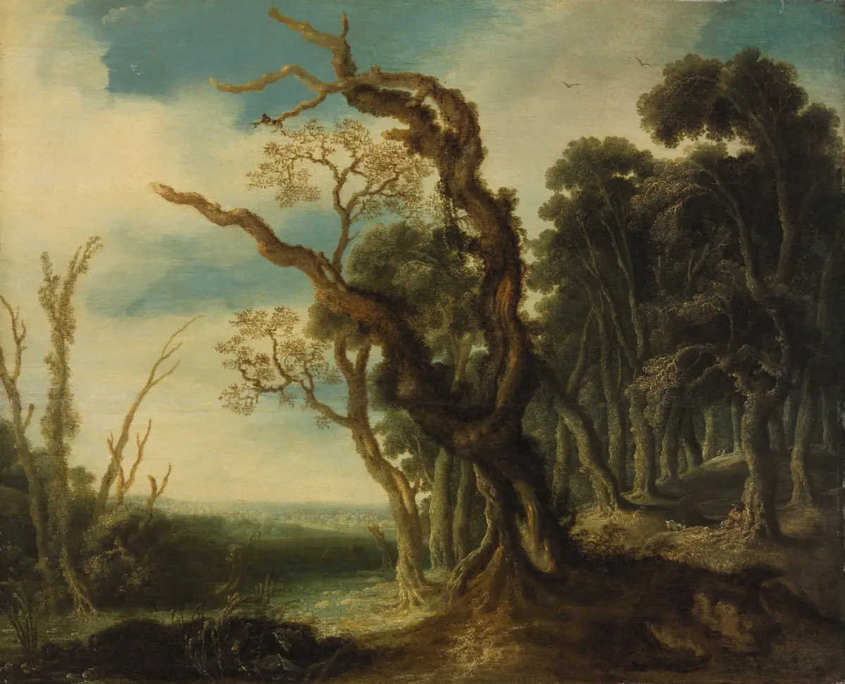 Waldlandschaft