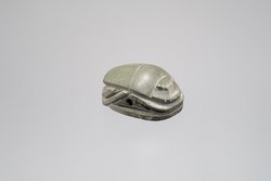 Herzskarabäus