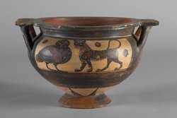 Eule und Panther