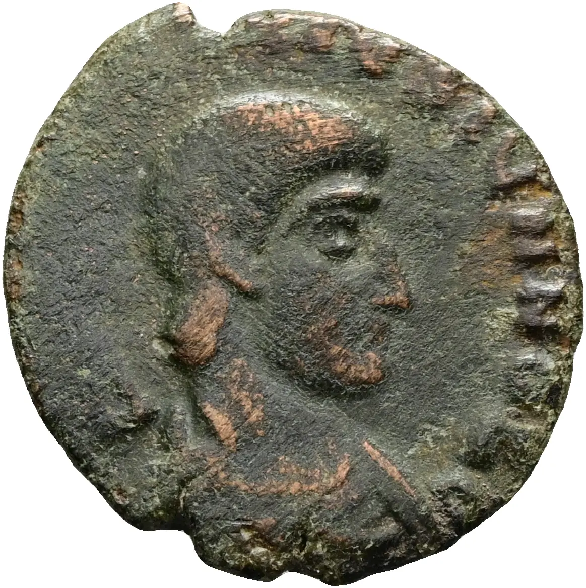 Constantius Gallus