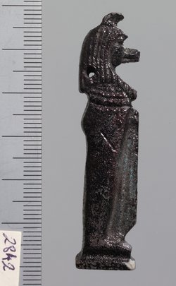 Duamutef (Horussohn/Schakal)