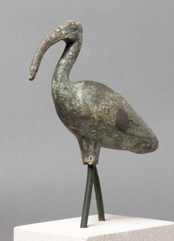 Schreitender Ibis