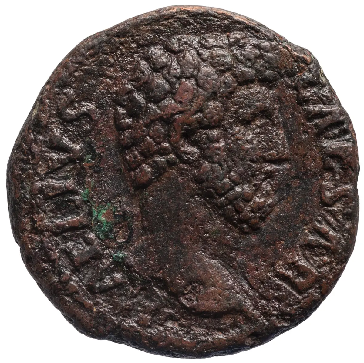 Lucius Aelius