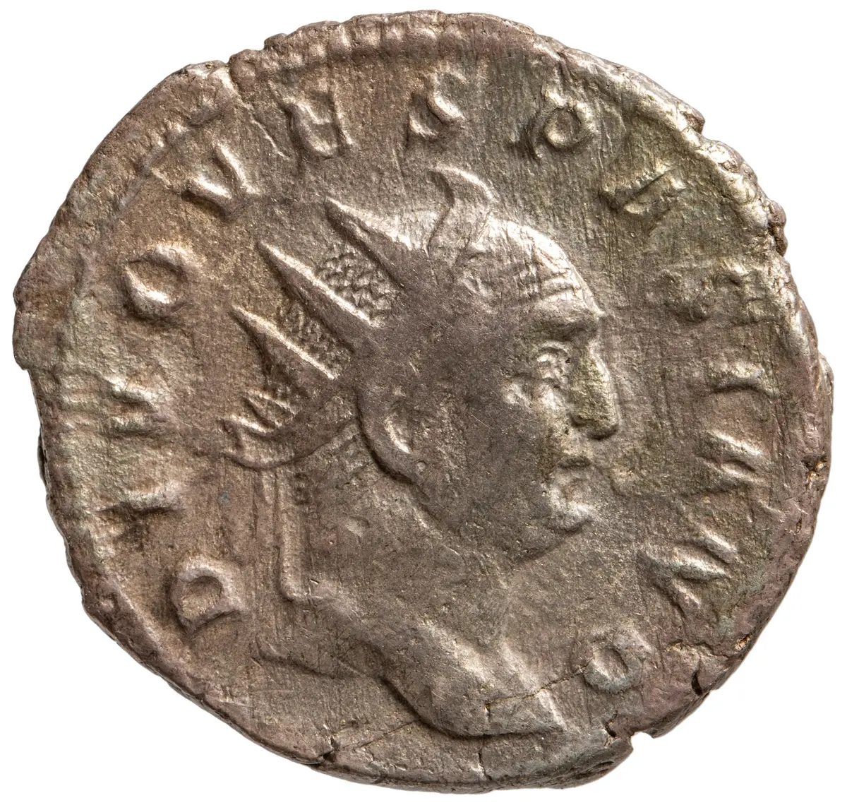 Divus Vespasianus