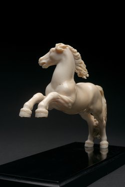 Galoppierendes Pferd