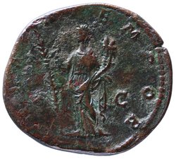 Didia Clara
