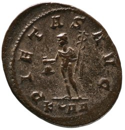 Carinus