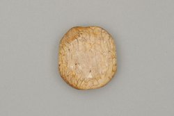 Schwertknauf, sog. Scheibenknauf, aus Elfenbein