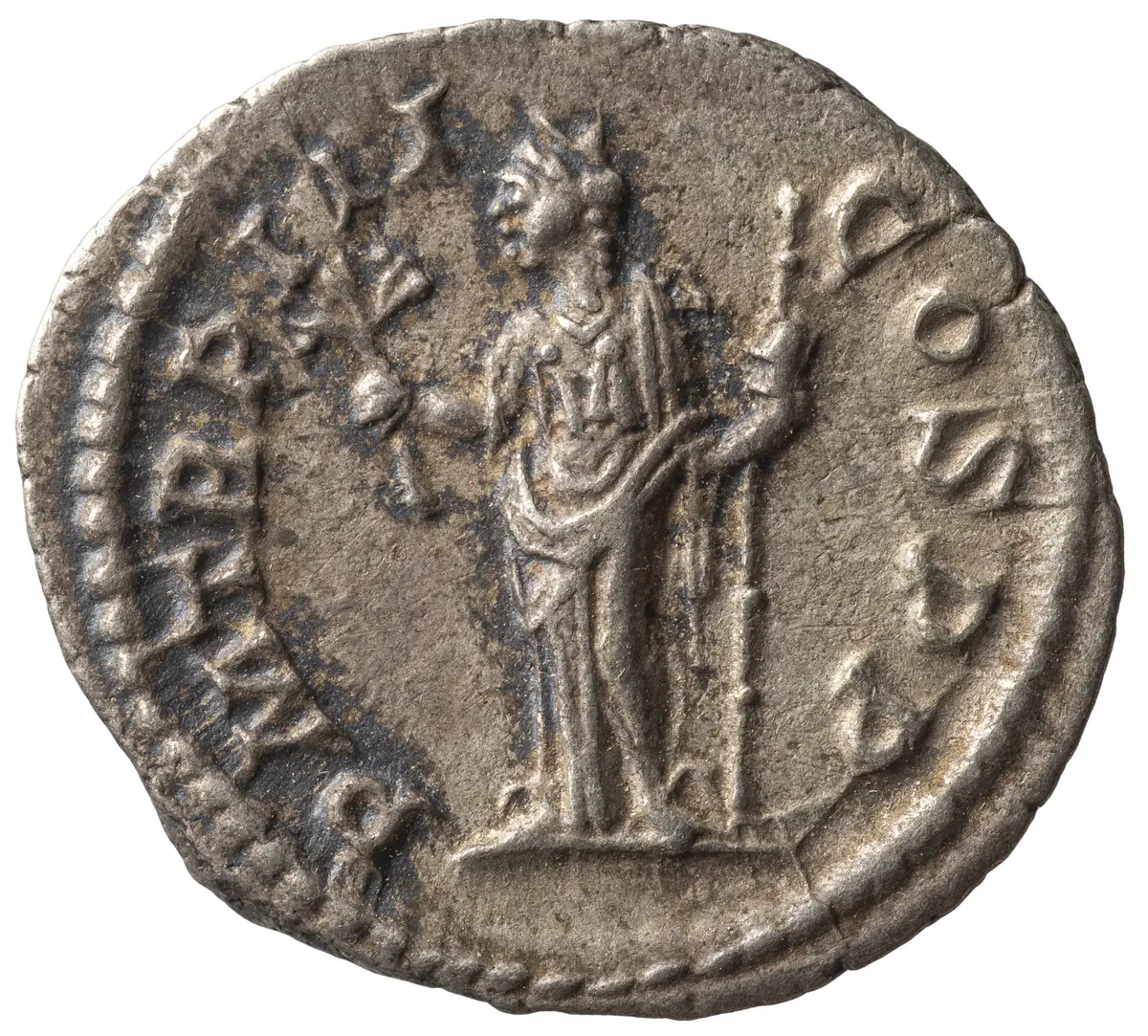 Severus Alexander
