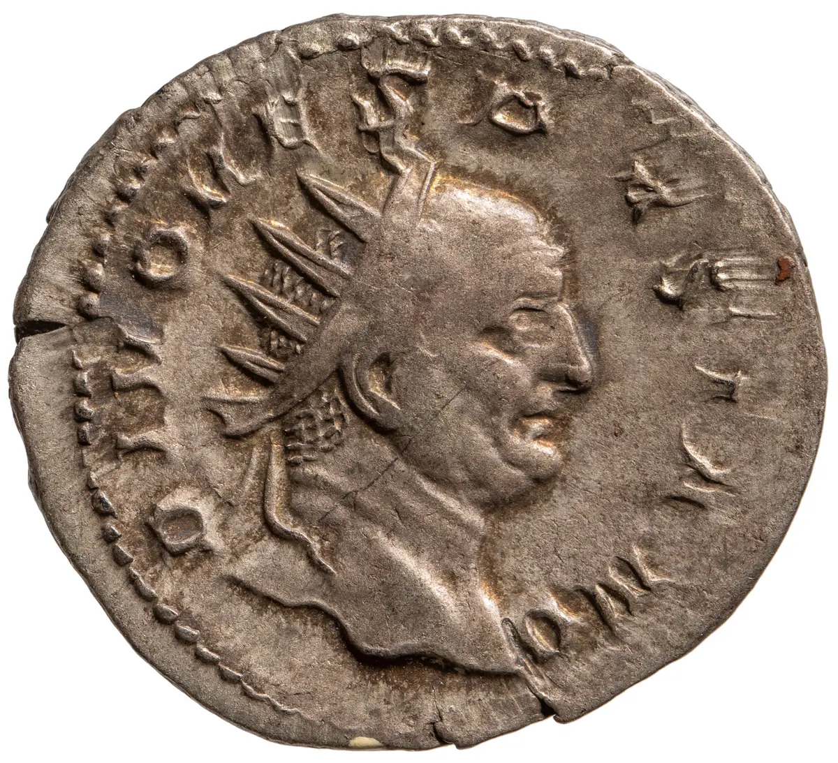 Divus Vespasianus