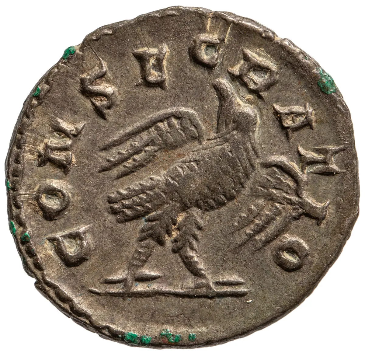 Divus Septimius Severus