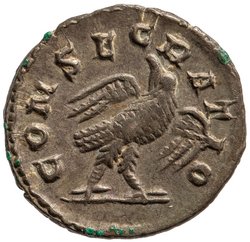 Divus Septimius Severus