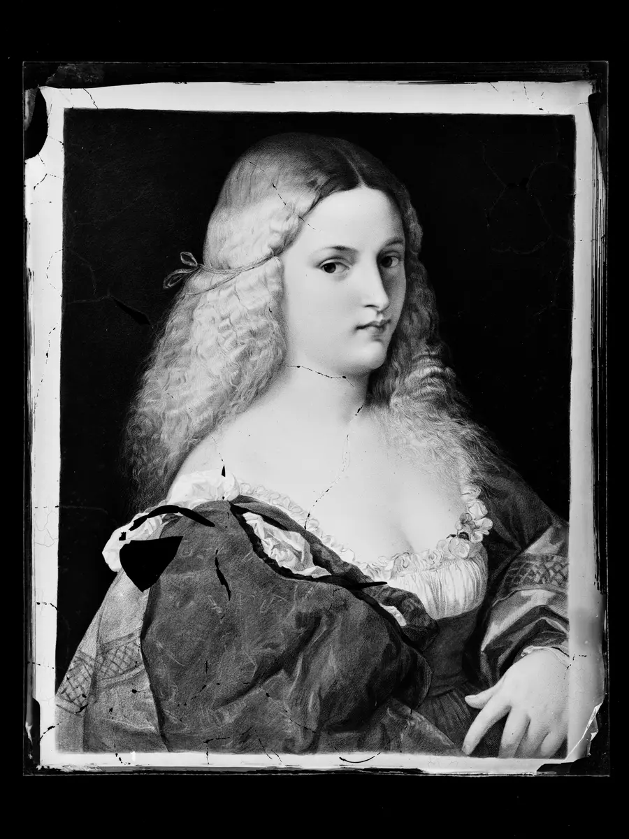 Violante