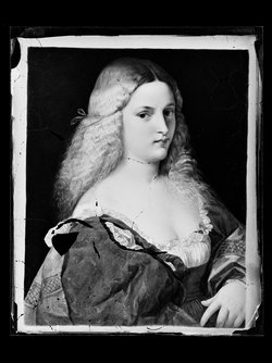 Violante