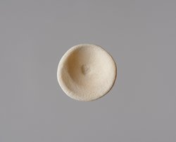 Schale