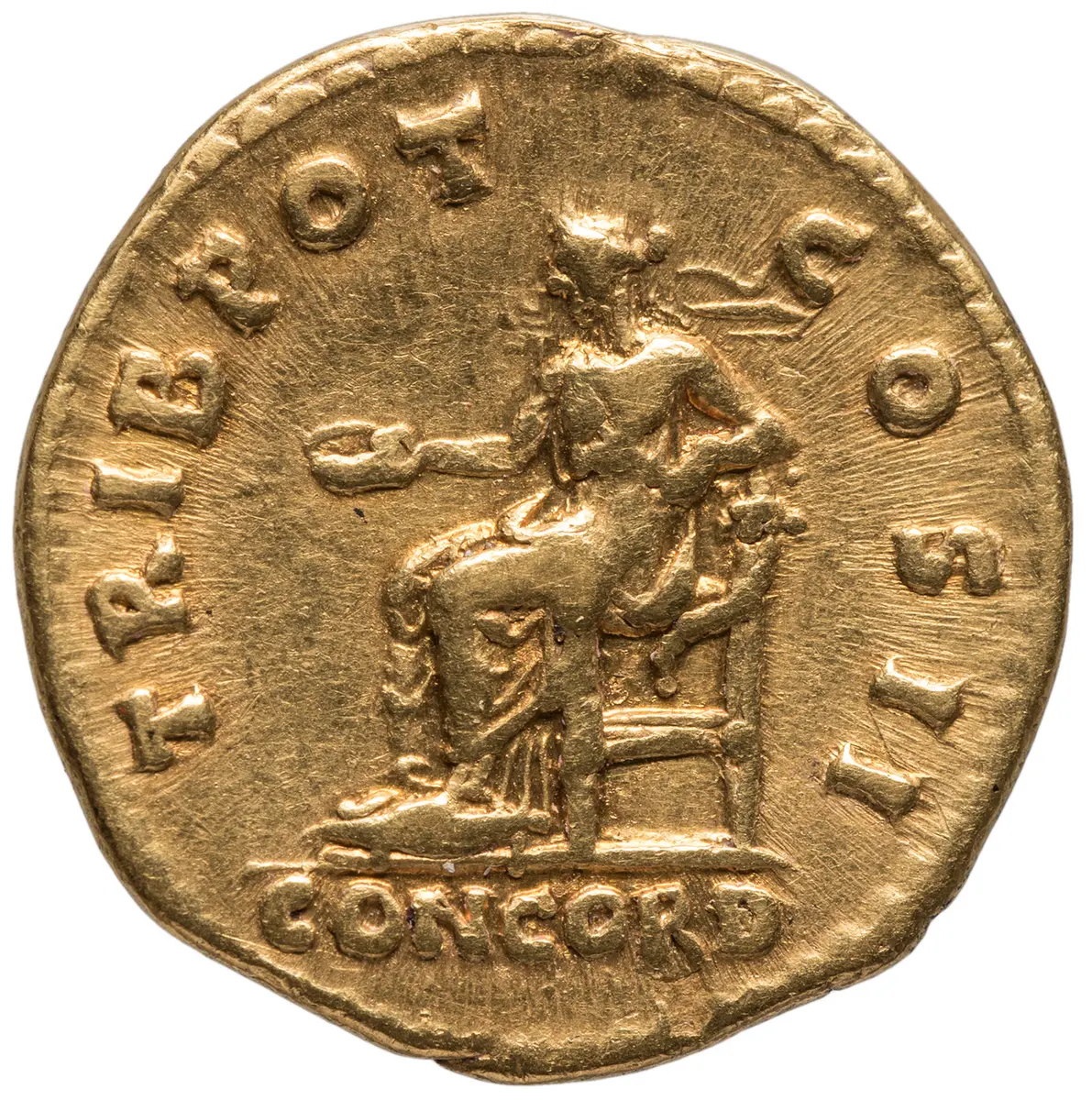 Lucius Aelius