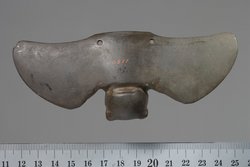 Fledermaus mit ausgebreiteten Flügeln