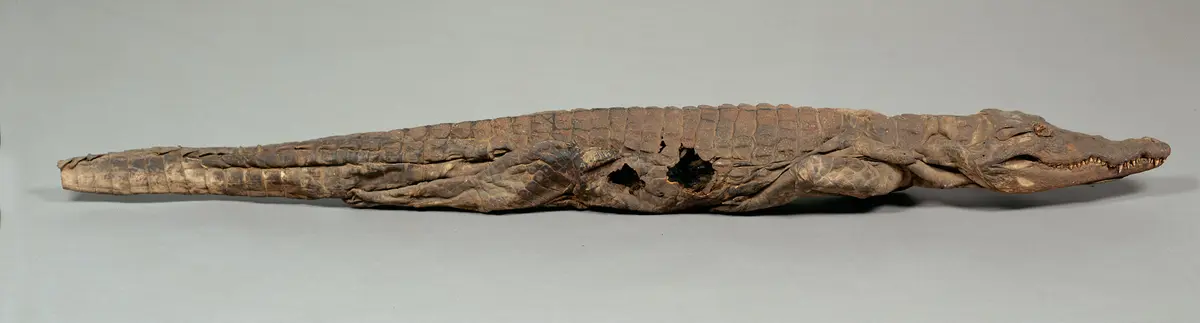 Krokodil