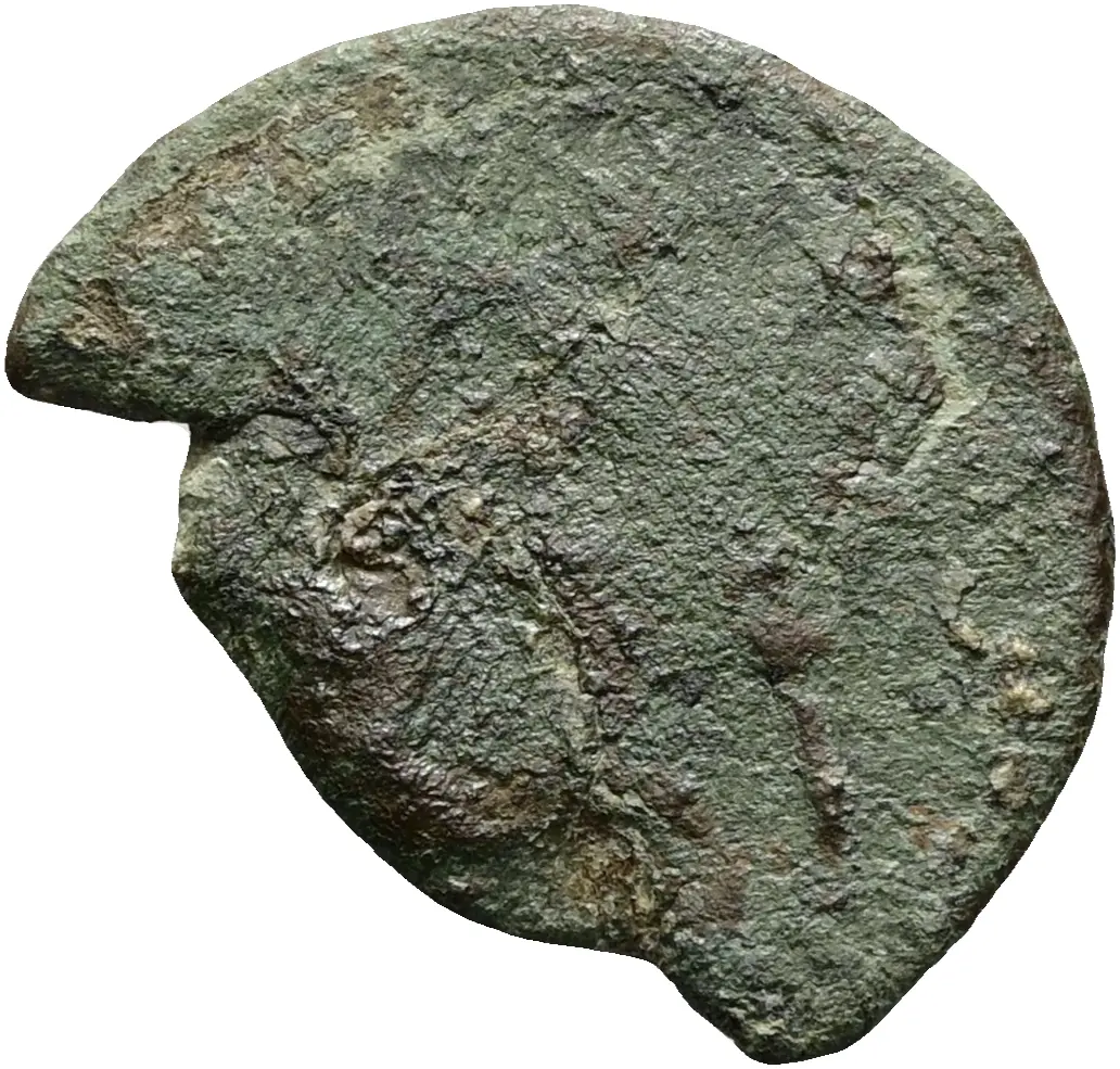 Constantius Gallus