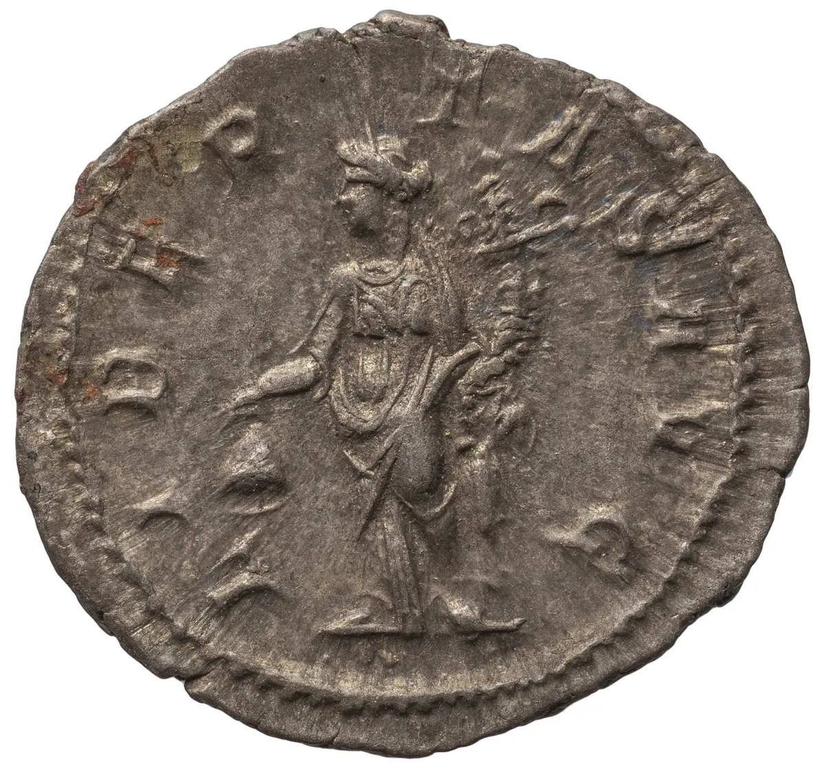 Severus Alexander