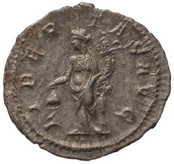 Severus Alexander