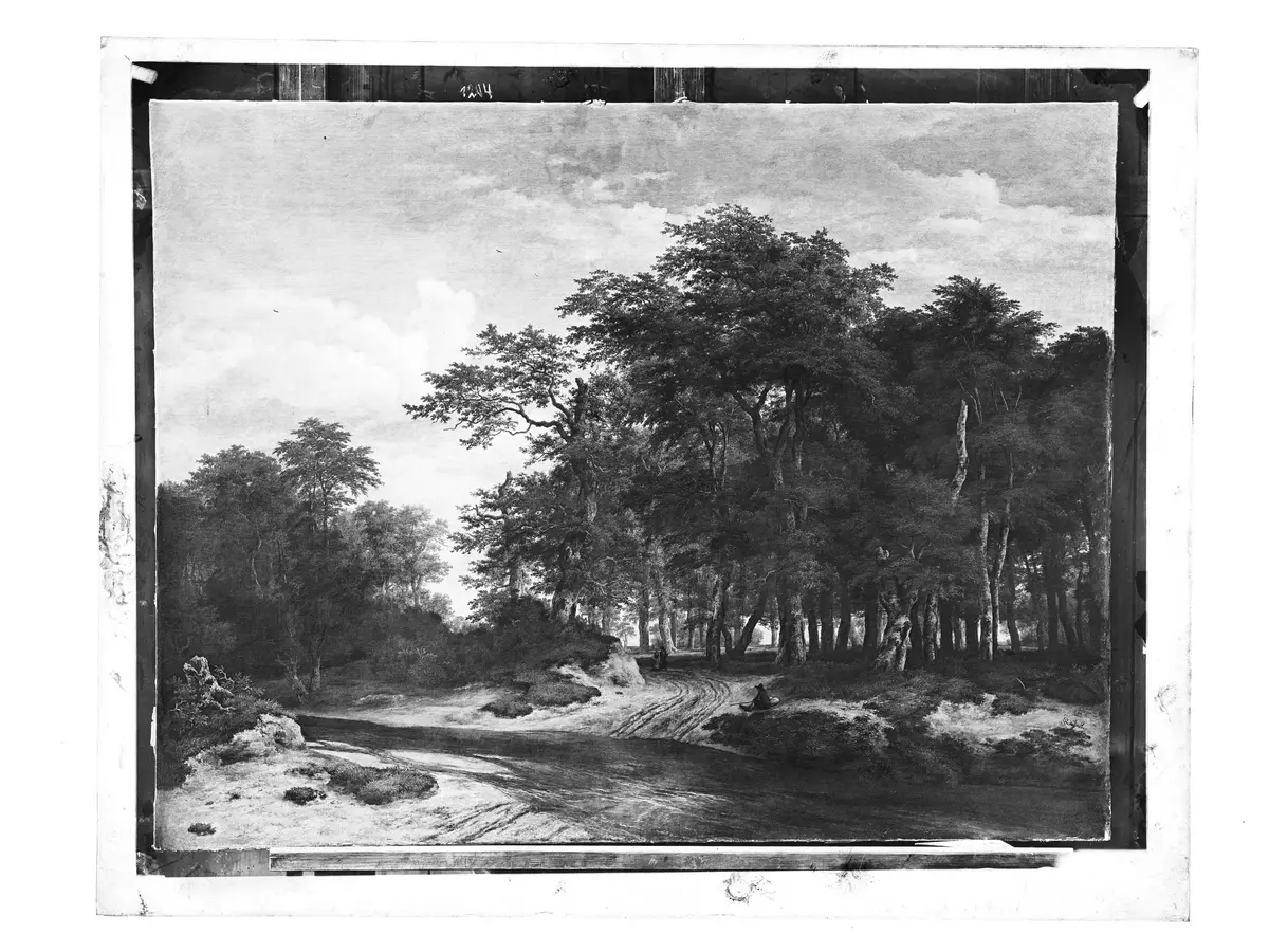 Der große Wald