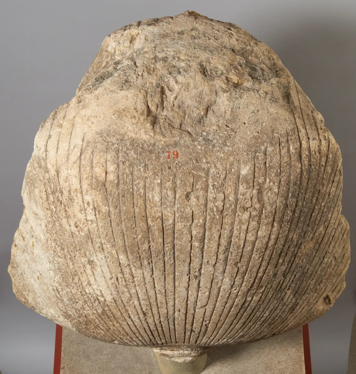Colossal head from a royal statue 