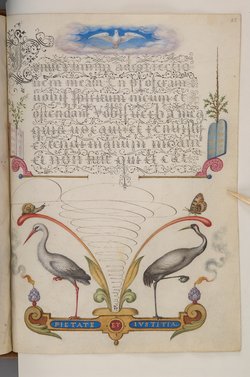 Schriftmusterbuch; 127 Blatt Pergament