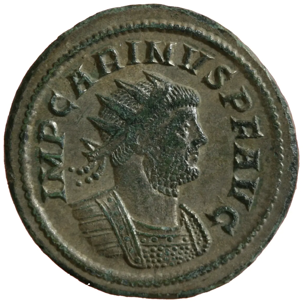 Carinus