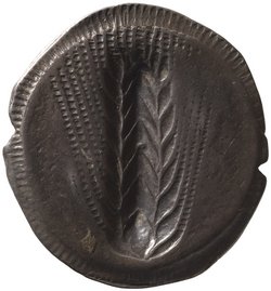 Metapont