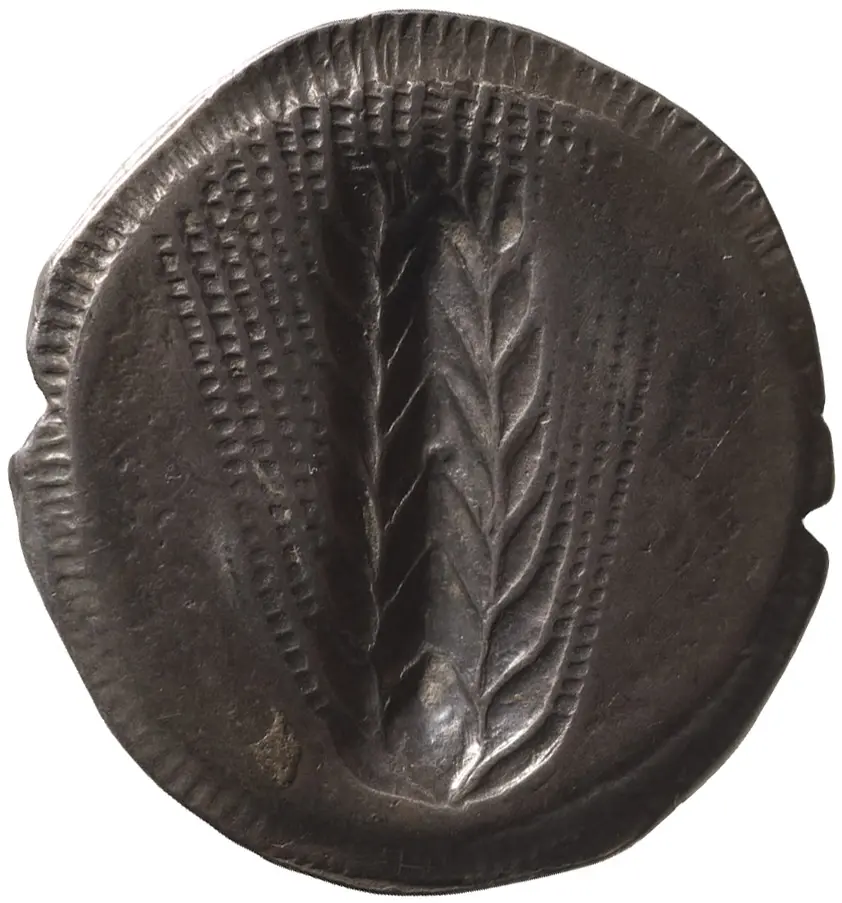 Metapont