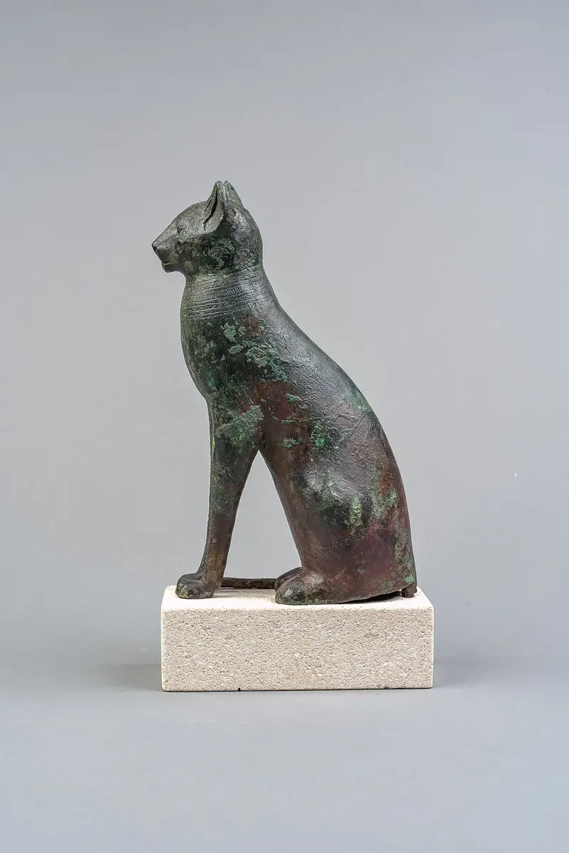 Sitzende Katze
