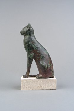 Sitzende Katze