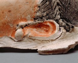 Kopf vom Stucksarg einer Frau