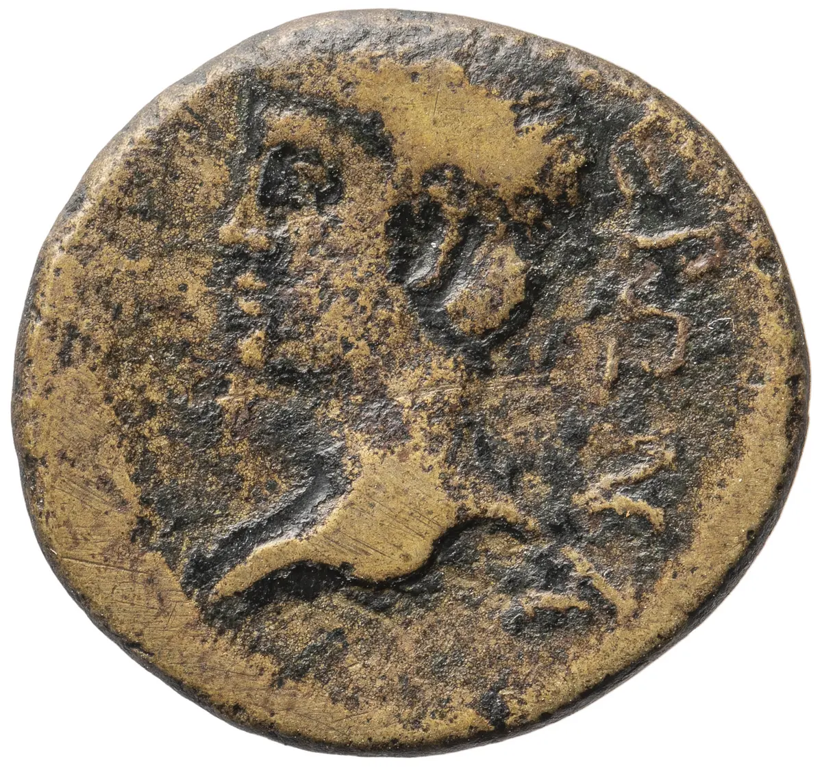 Elaia: Nero