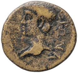 Elaia: Nero