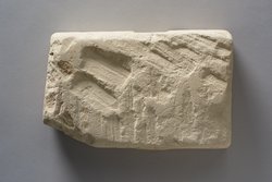 Fragment einer Apis-Stele mit demotischer Inschrift