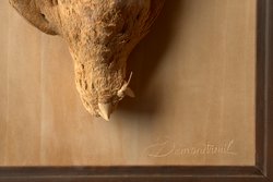 Vogelstillleben