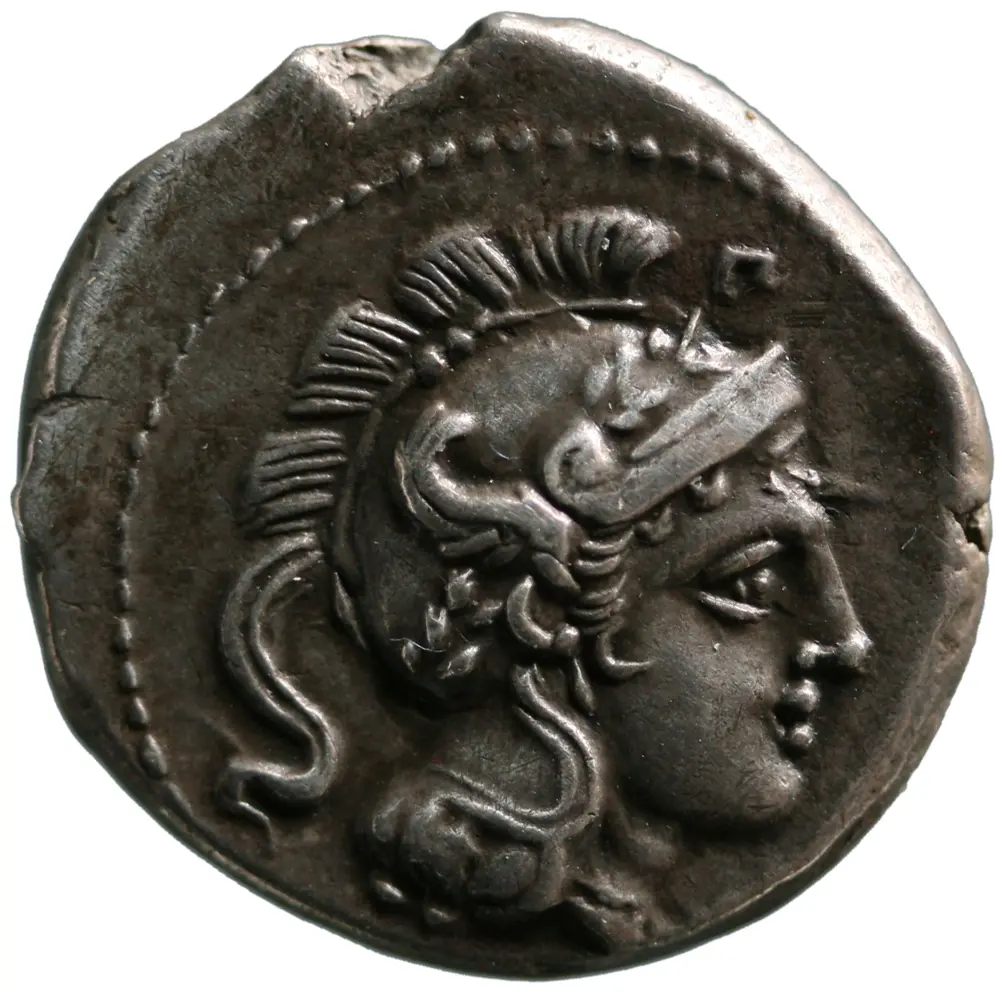 Velia